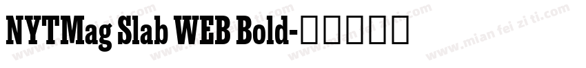 NYTMag Slab WEB Bold字体转换